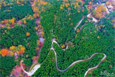 코로나로 답답하다면 경남으로…언택트 관광지 18선 추천