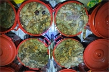 군산해경, 무허가 잠수 해삼잡은 일당 5명 검거