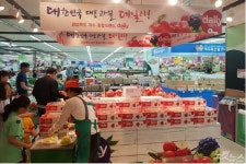 경북 과수 통합브랜드 daily 전용판매장 확대
