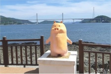 돝섬 아기돼지 보러오세요 청년예술가들로 창원 돝섬 새단장