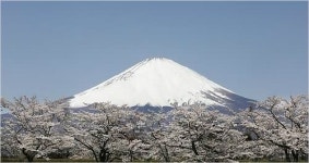 코로나로 올 여름 후지산 등산로 전체 폐쇄