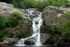 해운대 지역의 허파 부산 장산, 구립공원 지정 추진