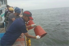 군산시, 올해도 연안 수산종묘 방류