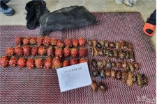 수산물 불법채취 꼼짝 마…동해해경 특별단속