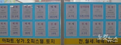 송파구 부동산
