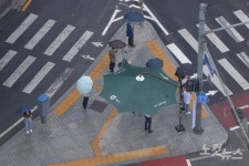 여름 장마, 우산 쓴 시민들