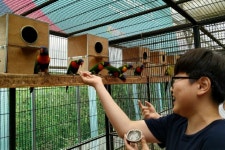 농촌관광 클린사업장에 아가새농장 등 충남 26곳 선정