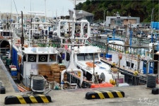 제주 도두항에 무슨 일이…요트 시설 철거에 시끌