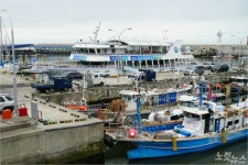제주 도두항에 무슨 일이…요트 시설 철거에 시끌
