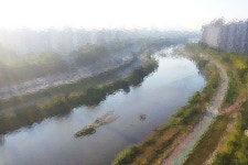 하천둔치서 여중생 숨진 채 발견…男고등학생 용의자 검거