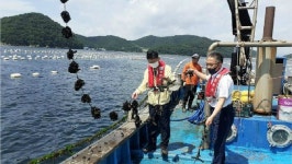 경남 산소부족 물덩어리 양식 피해 72억 5800만 원