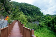 증평군, 좌구산 분젓치 산새길 테마로드 조성