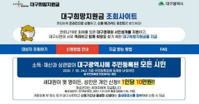 대구희망지원금 부정 유통시 처벌…현금화·결제 거부 신고해야