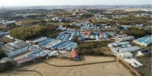 악취 문제 익산 왕궁 현업축사 전량 매입 길 열려