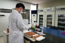 경남 생산 계란 살충제 검사 3년 연속 적합