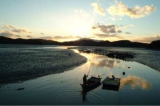 사천환경단체 사천시, 광포만 산단 조성 중단하라