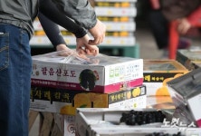 과일 구매하는 시민들