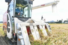 이철우, 벼 베기 도우며 농민 격려