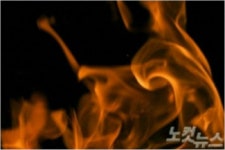 괴산 양계장 화재로 병아리 2만 5천마리 떼죽음