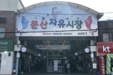 문산자유시장 이용객, 20일부터 DMZ 무료관광 재개
