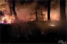 부산 사하구 아미산 불…산림 400㎡ 소실