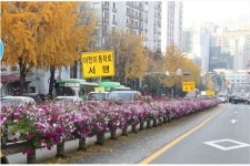 관악구 남부순환로 일대지역 활력이 넘치는 새로운 거리로 변신