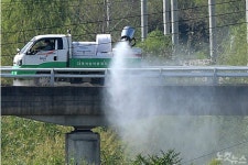 경기·충남·전남·경북 야생조류서 고병원성 AI 4건 확진