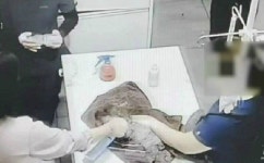 수술마친 강아지에 탈취제 분사 후 웃음 터뜨린 동물병원 고발