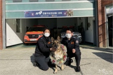 4명 목숨 구한 순천소방 인명구조견 강풍이 은퇴