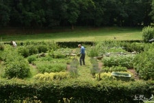 장애인이든 노인이든 함께 일할 수 있는 농장이야기