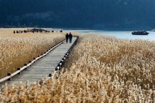 순천만국가정원·순천만습지 추천 웰니스 관광지 선정