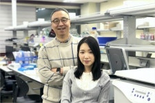 포스텍 연구팀, 조립형 미니 장기 개발…인체장기 완벽 재현