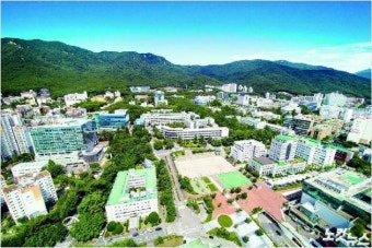 대학 교수 불성실 행동으로 법정 논란 확산, 단과대학장 책임 논의 계속적으로 전개