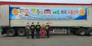 전남 해남 배추, 태국 수출길에 올라