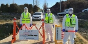 경기 평택·고양 가금농장서 AI 항원 검출