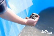 [영상]인어의 전설이 잠든 야달항, 어촌뉴딜 300으로 만나다