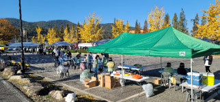 광양 2명·순천 1명 코로나 추가 확진…전남 누적 597명