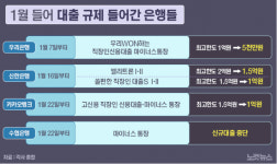 금융당국發 신용대출 조이기, 카뱅 등 은행권도 동참
