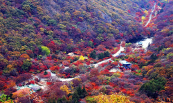 전북 정읍 내장산·구절초 지방정원, 한국 관광 100선 선정