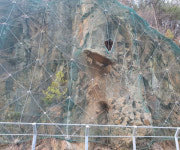 충북도, 낙석발생 영동군 지방도 49호선 긴급 통행제한