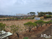 광주 산정지구 투기 의혹에 조사 필요