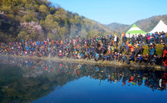 봄 벚꽃 명소 전남 화순 세량지, 단체 출사 금지