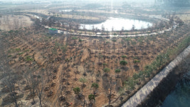 익산시 신생아 탄생 기념 아가숲 조성