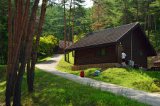 울진군 머무는 산림휴양·치유 거점 도약 총력전 선포