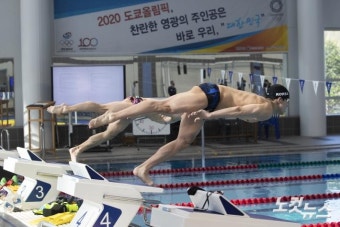 도쿄올림픽 준비하는 수영 국가대표선수들