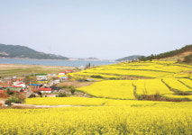 5월 가정의 달 전남서 안심여행 즐기세요