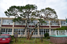 이건희 미술관, 기업가정신 수도 진주에…진주시 유치나서