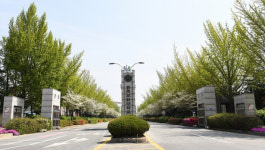 한국교원대 부설 체육 중·고등 특수학교 설립