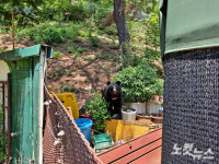 울산 농장서 곰 출현…소방당국 등 포획 나서기로