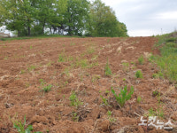 농업법인+기획부동산 연쇄 먹튀…땅값 폭등 평택 포승지구